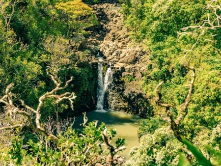 an enchanted escape garden of eden road to hana in maui
