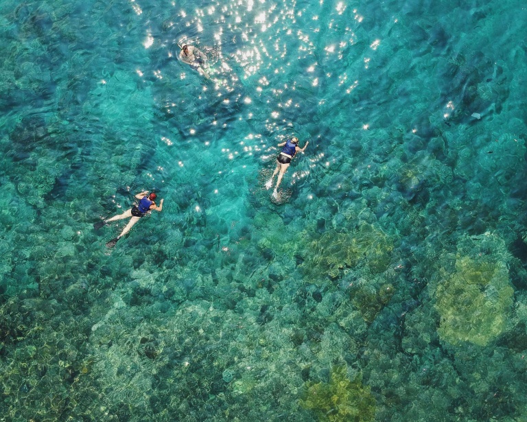 explore the wonders of mauis waters snorkel and whale watch tour hawaii ocean rafting