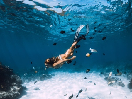 exploring the underwater world off the coast of oahu honolulu snorkel company