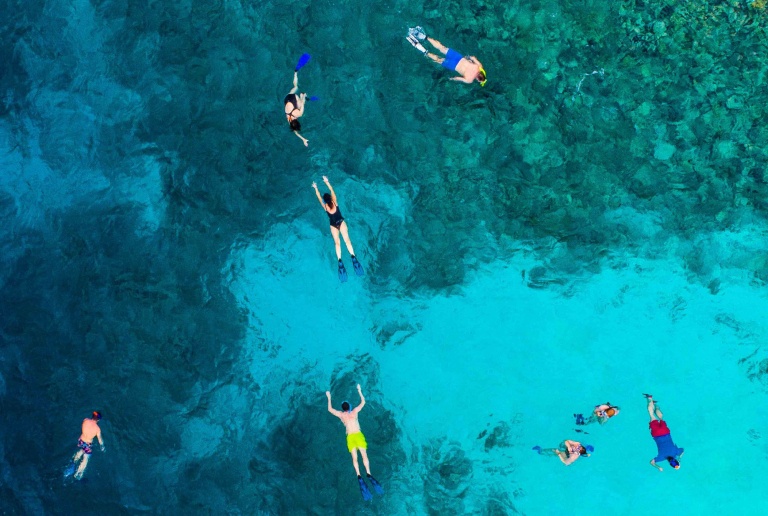 family friendly snorkeling tour oahu honolulu snorkel company