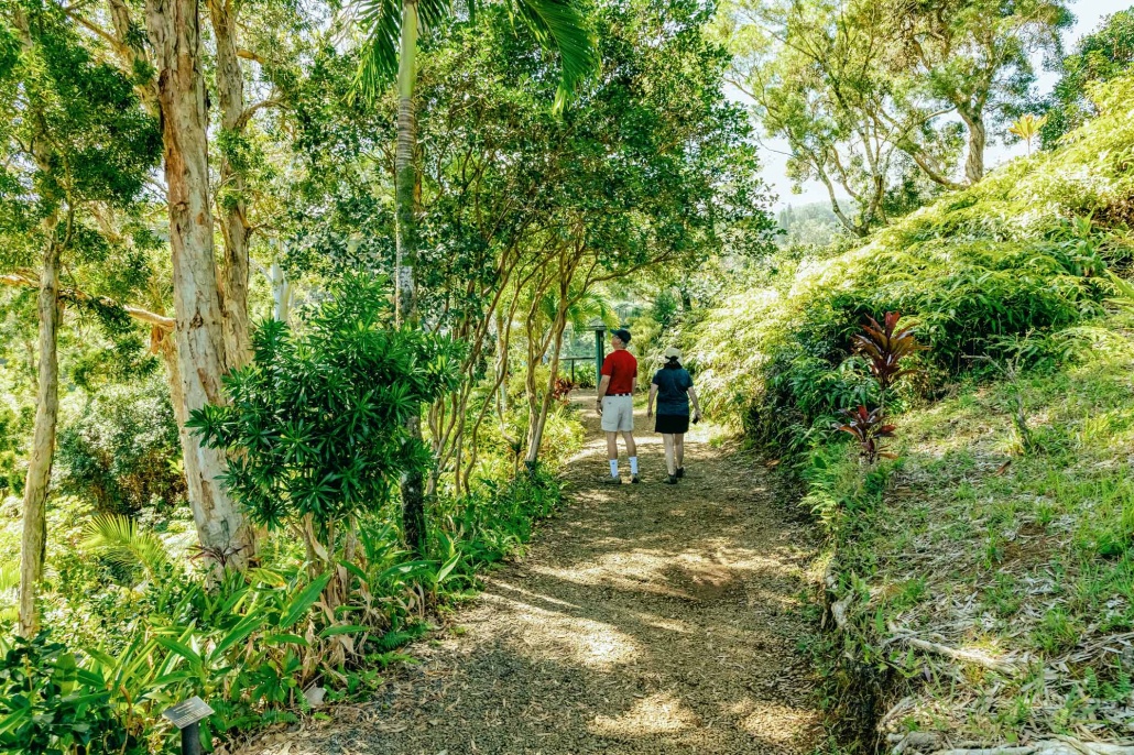 garden of edens hidden gems a visual adventure road to hana in maui