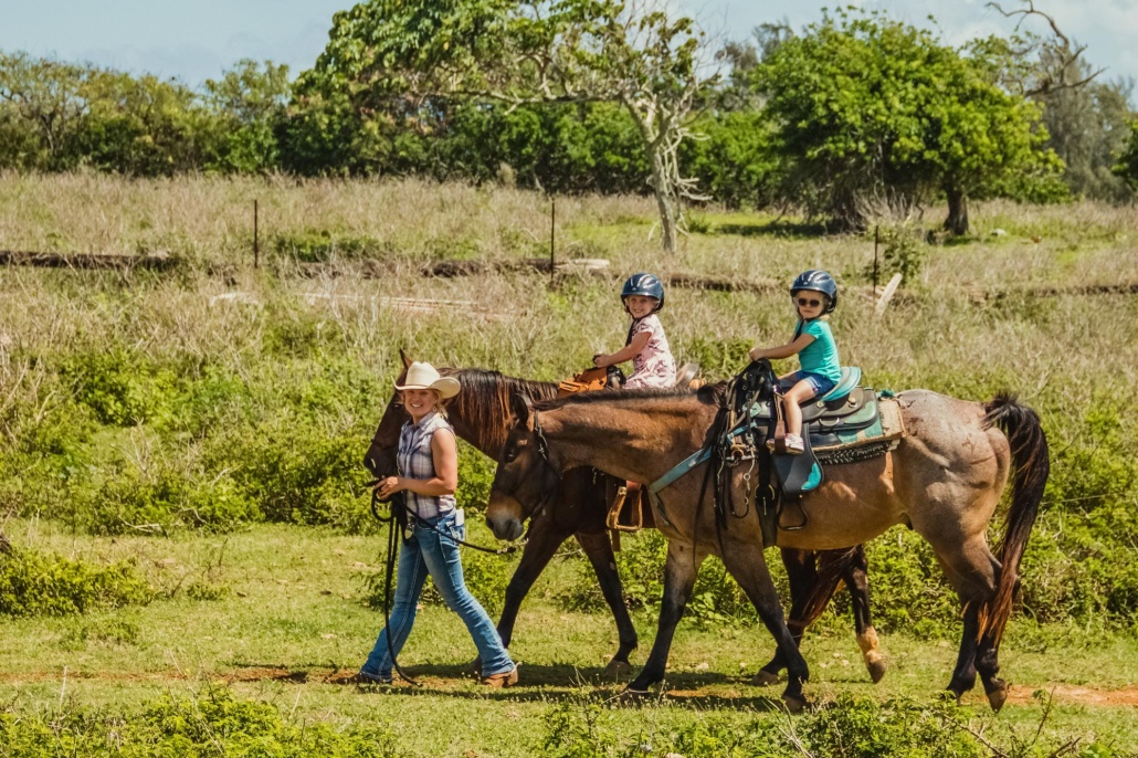 get up close with nature on a north shore horseback riding tour oahu family adventure polyad