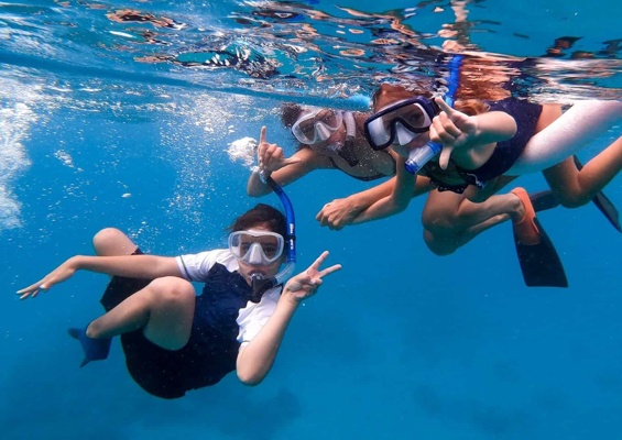 Hawaiioceanrafting Snorkel And Whale Watch Maui Snorkel Tips