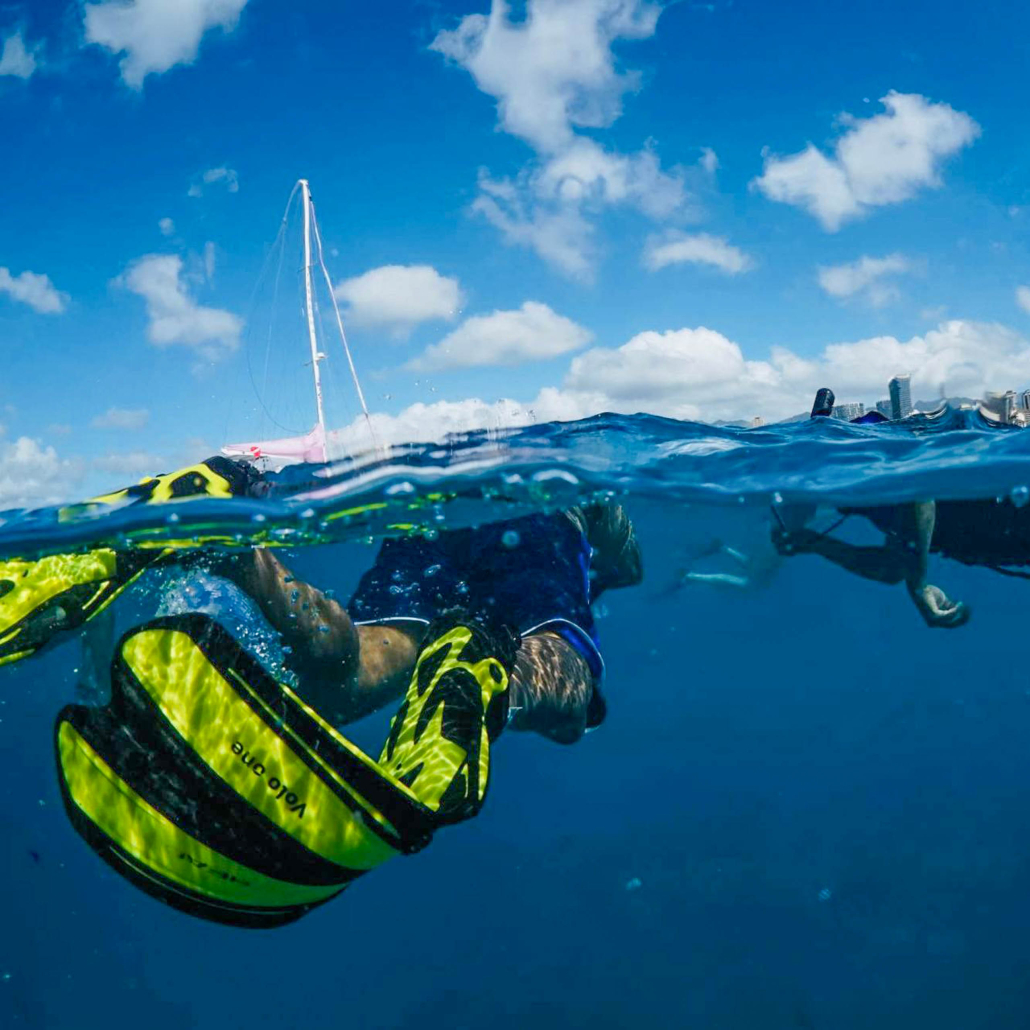 Honolulusnorkelcompany Honolulu Snorkel Tour Beautiful Picture