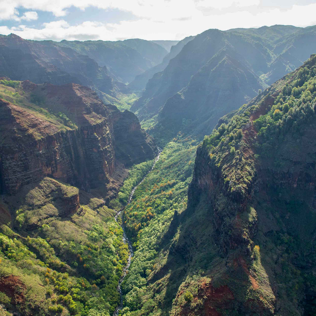 Kauai Adventure Day Trip From Oahu Kauai Waimea Canyon Kauai