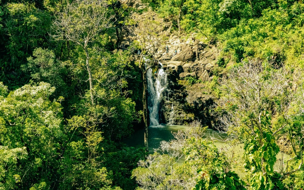 lost in paradise the beauty of garden of eden maui