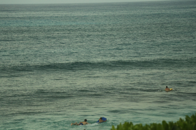 Oahu Morning Swim