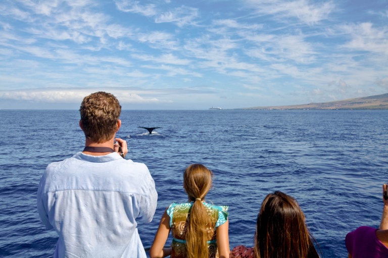 Portwaikikicruises Spirit Of Aloha Whale Watching Cruise Feature Family Friendly Take Photo