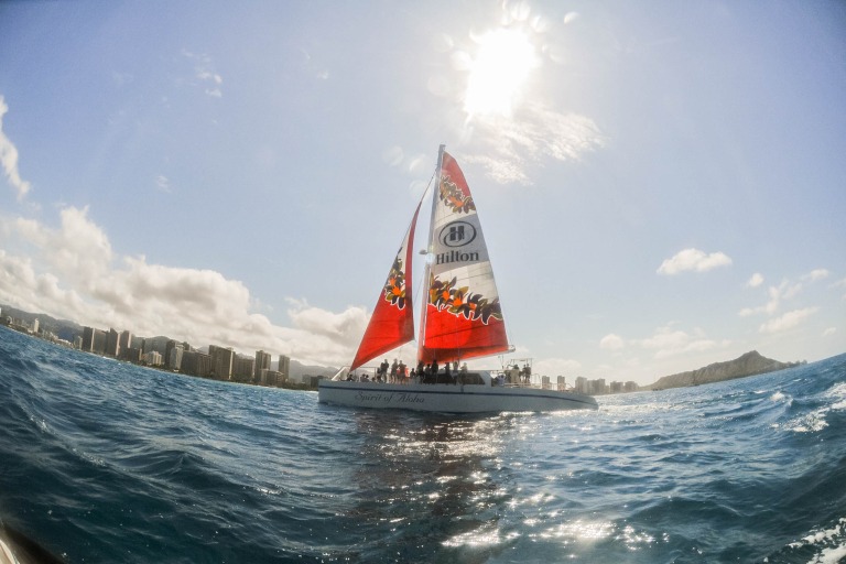 Portwaikikicruises Spirit Of Aloha Whale Watching Cruise Feature See Humpback Whale