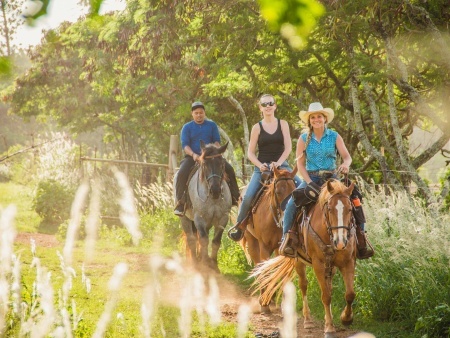 ride into the sunset on a north shore horseback riding tour polyad