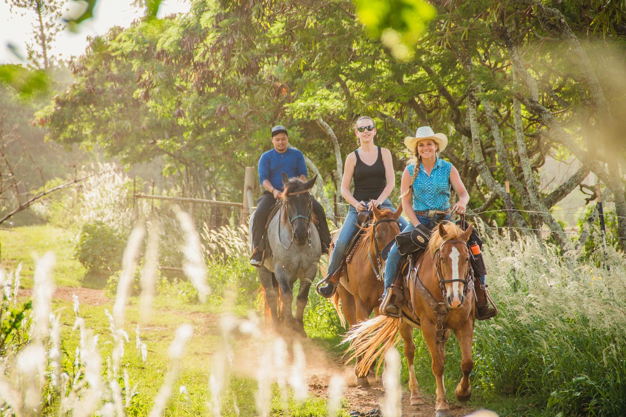 North Shore Horseback Riding Nature Adventure on Oahu