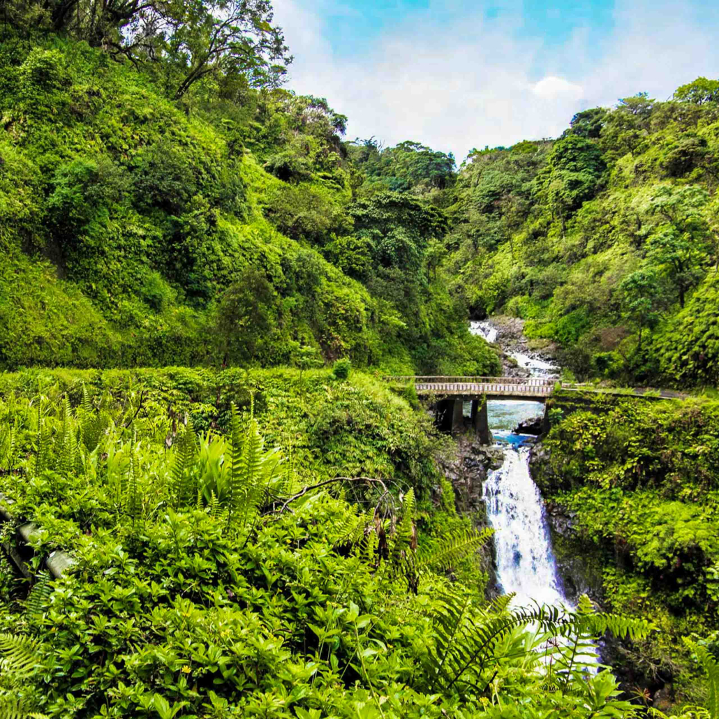 Road To Hana Air And Sightseeing Tour The Hana Highway Beside A Waterfall On The North Coast Of Maui