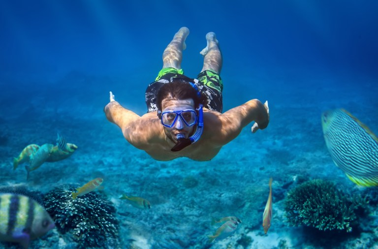 snorkeling adventure oahu honolulu snorkel company