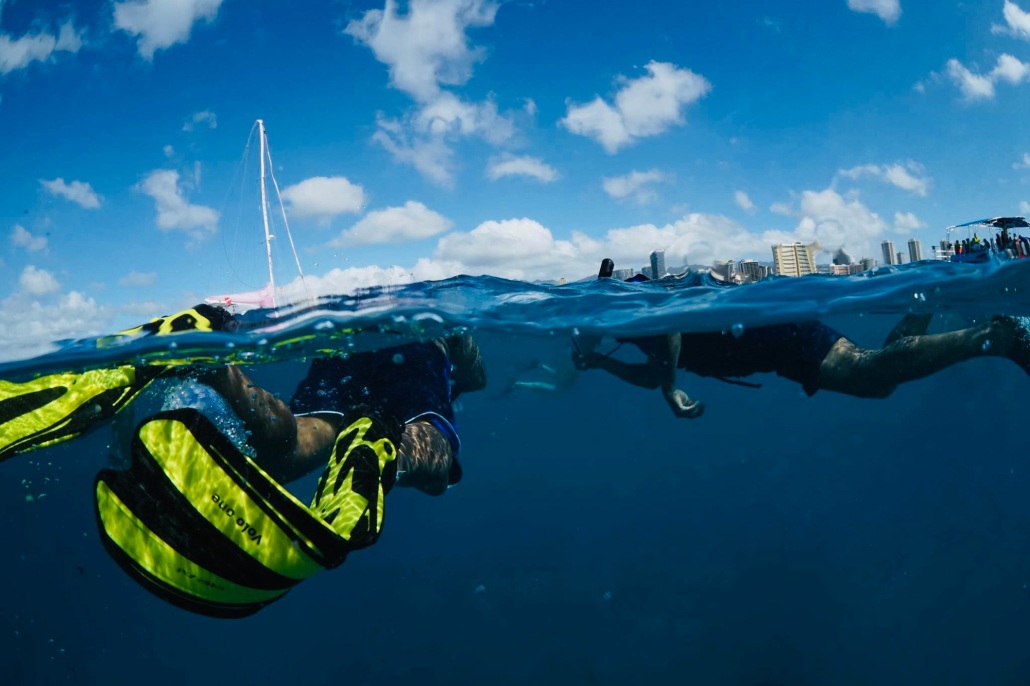 spend two hours with knowledgeable guides oahu honolulu snorkel company