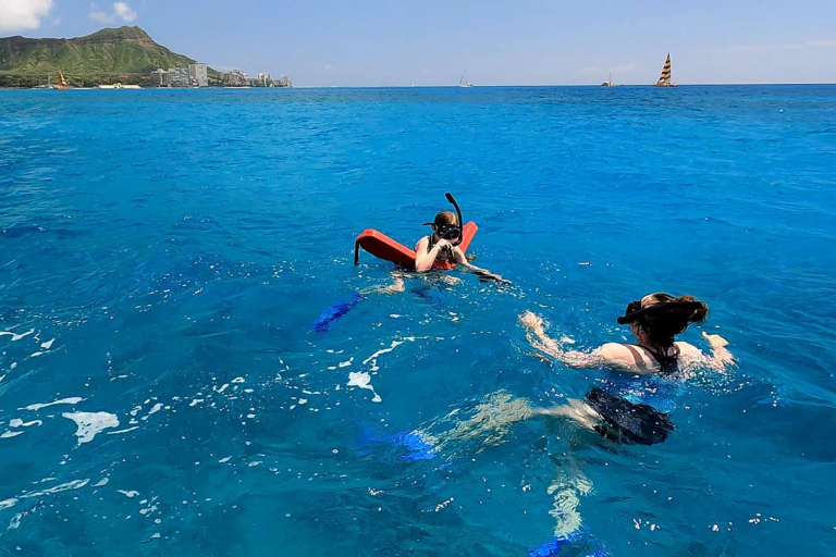Theadventureboat Family Activity Swim