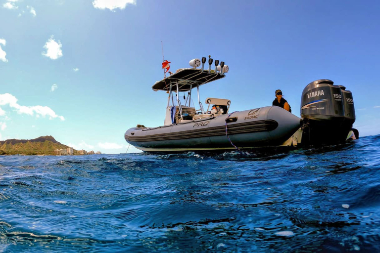 Theadventureboat Private Sunset Small Boat Tour Fast And Fun Boat Close Look