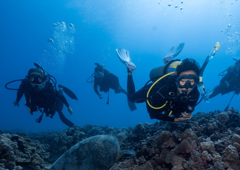 Hawaiiandiving Deep And Shallow Dive Slide Diving Together