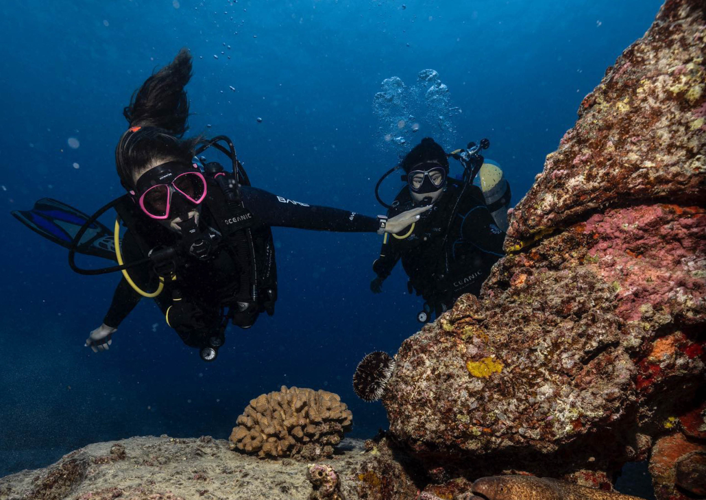 Hawaiiandiving Deep And Shallow Dive Slide Explorers