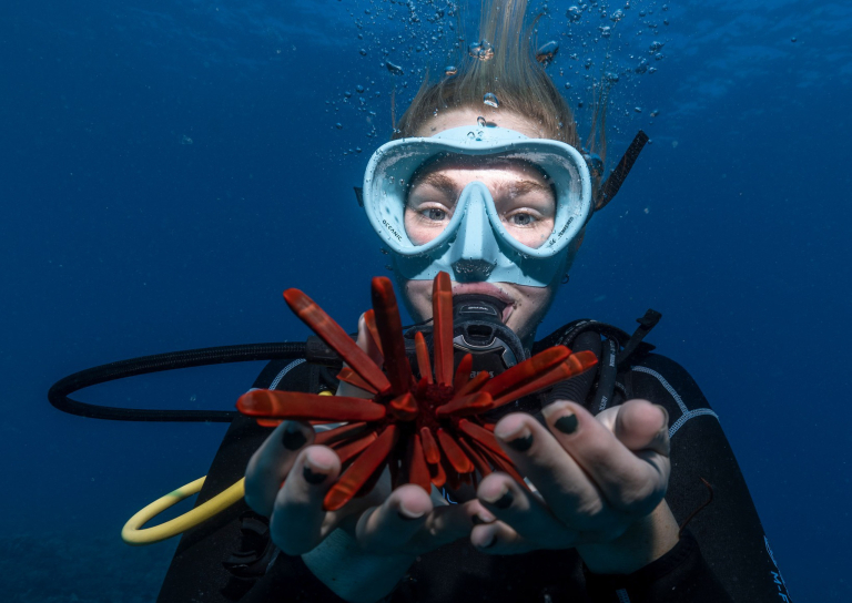 Hawaiiandiving Deep And Shallow Dive Slide Holding Coral