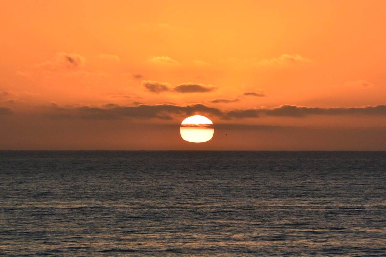 Livingoceantours Oahu Whale Watching Feature Enjoy A Tropical Afternoon