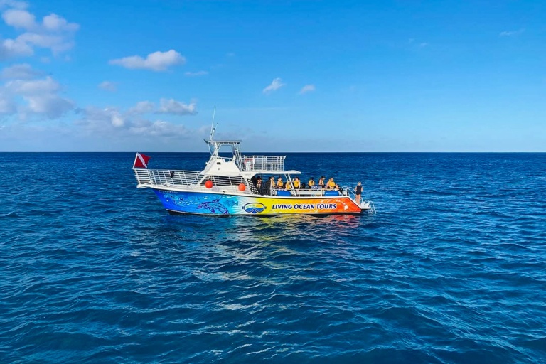Livingoceantours Oahu Whale Watching Feature Enjoy A Tropical Afternoon Sunset