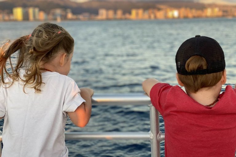 Livingoceantours Oahu Whale Watching Feature Family Activity Kids