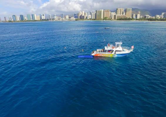 Livingoceantours Oahu Whale Watching Slider