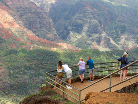 Waimea Canyon Kokee Sightseeing