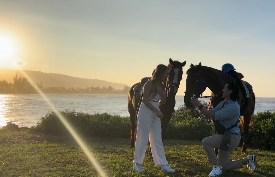 Couple proposal with horse slider