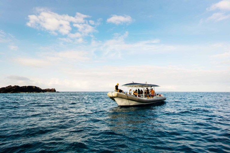 body glove hawaii extraordinary snorkeling experience take a fun ride aboard 
