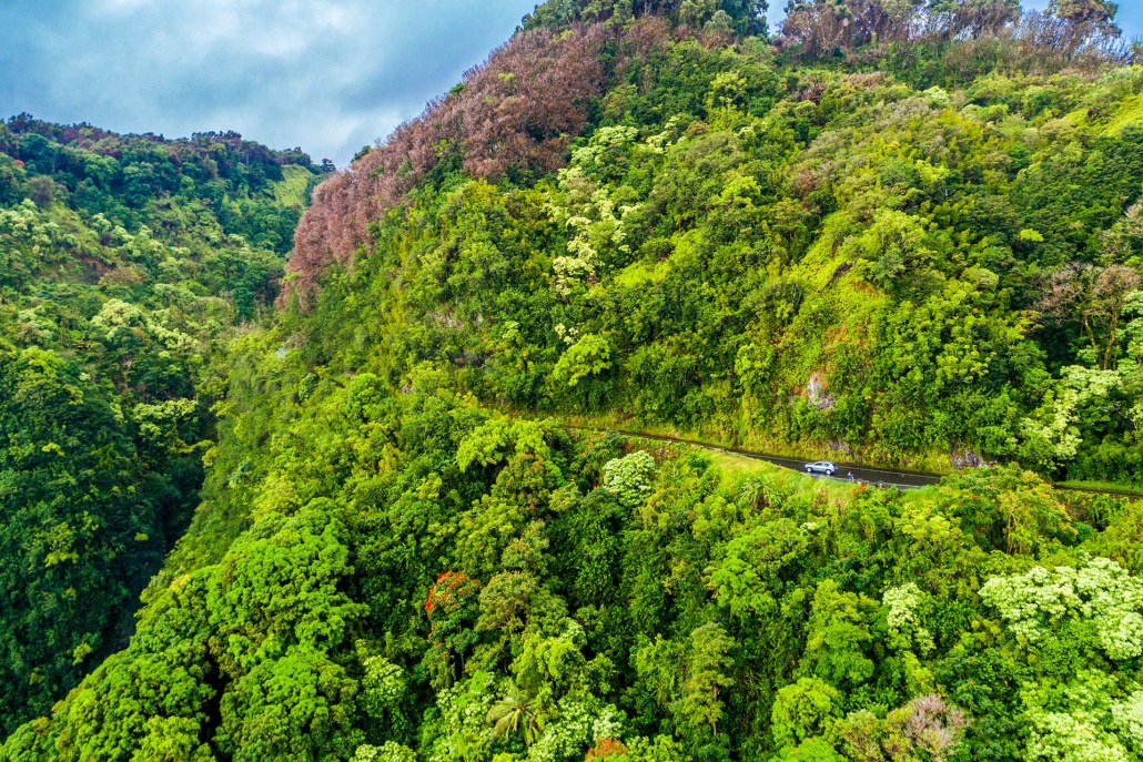 gorgeous view of road to hana maui hawaii