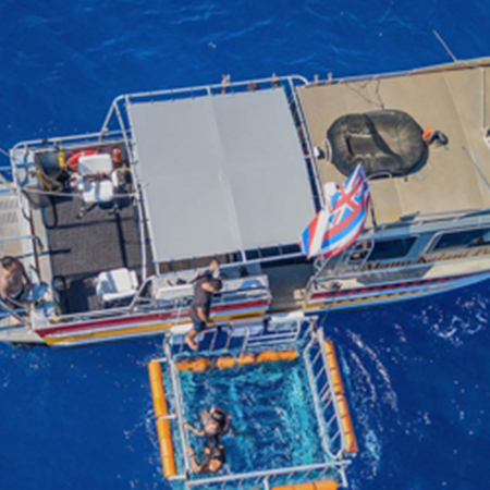 Haleiwasharktours North Shore Shark Cage Snorkel Boat