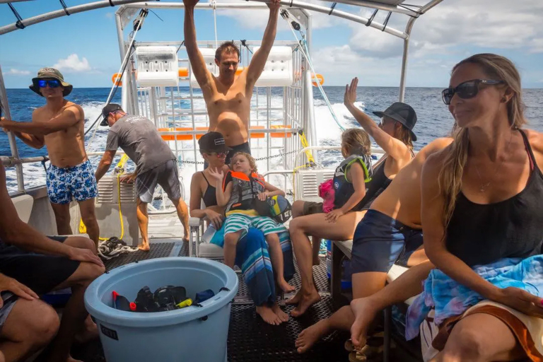 Haleiwasharktours North Shore Shark Cage Snorkel Family