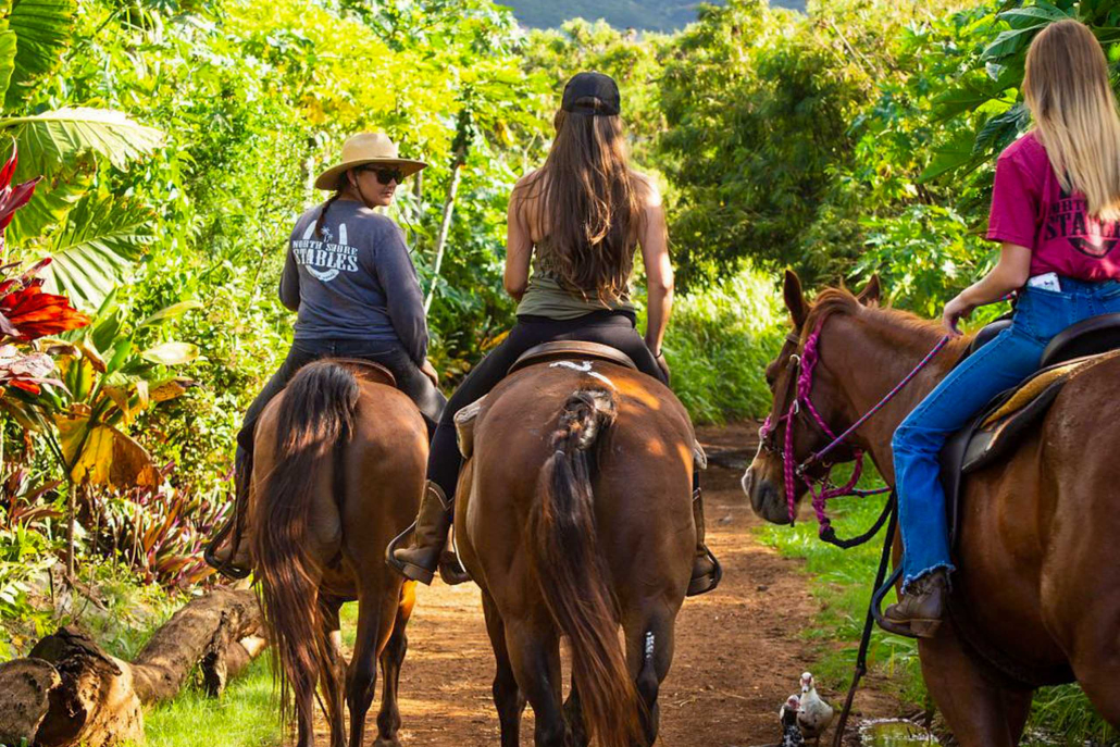 north shore stables hawaii horseback riding lessons tourguide and tourists