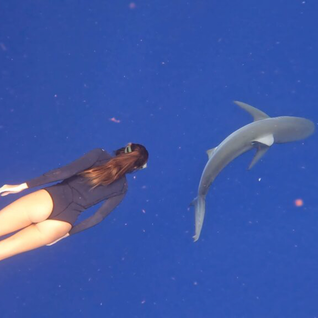Oceanoutffitershawaii Woman Diving With Shark