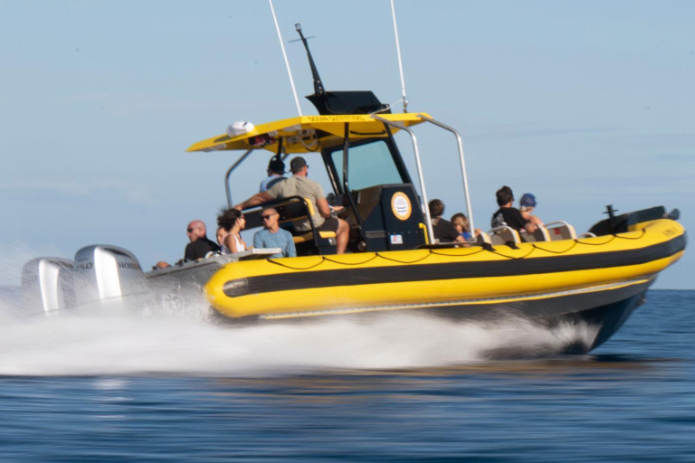 Oceanoutfittershawaii Beautiful Setting Boat