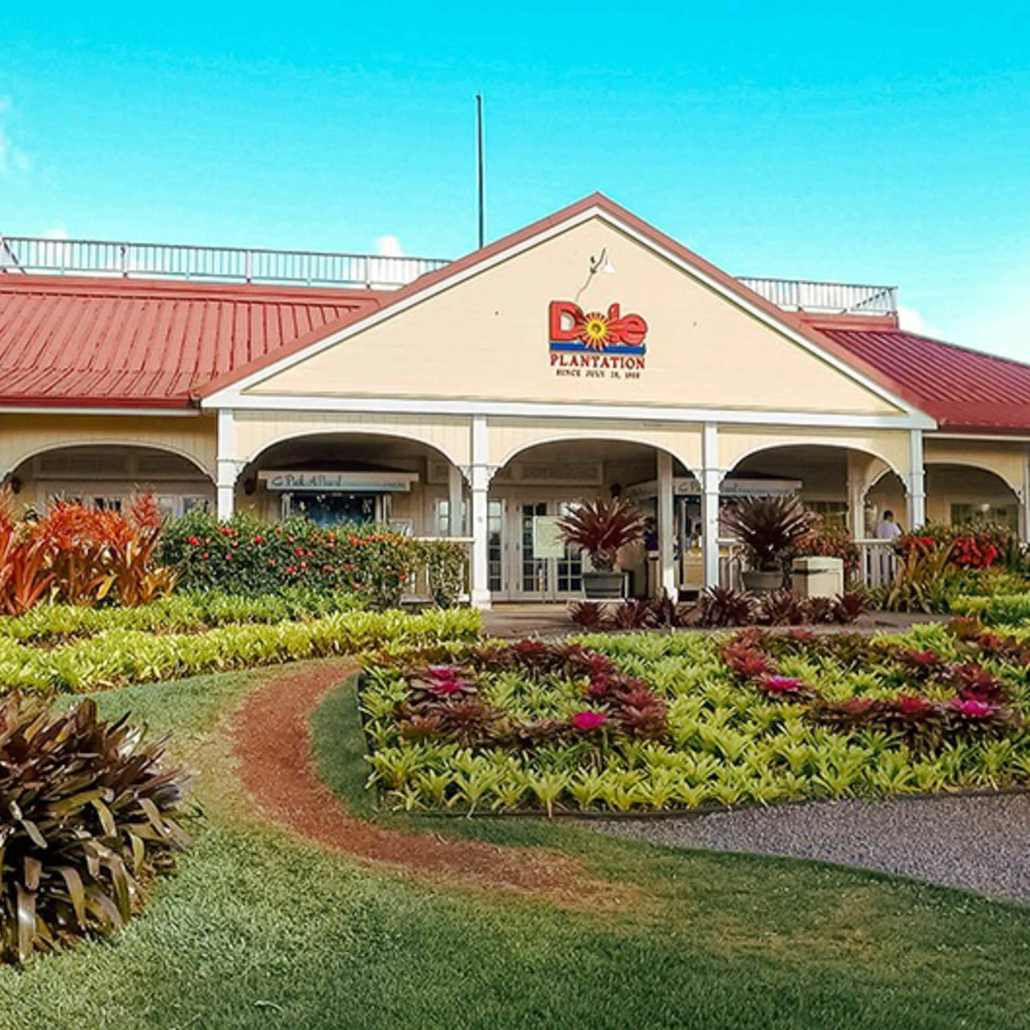 Dole Pineapple Plantation Enoa