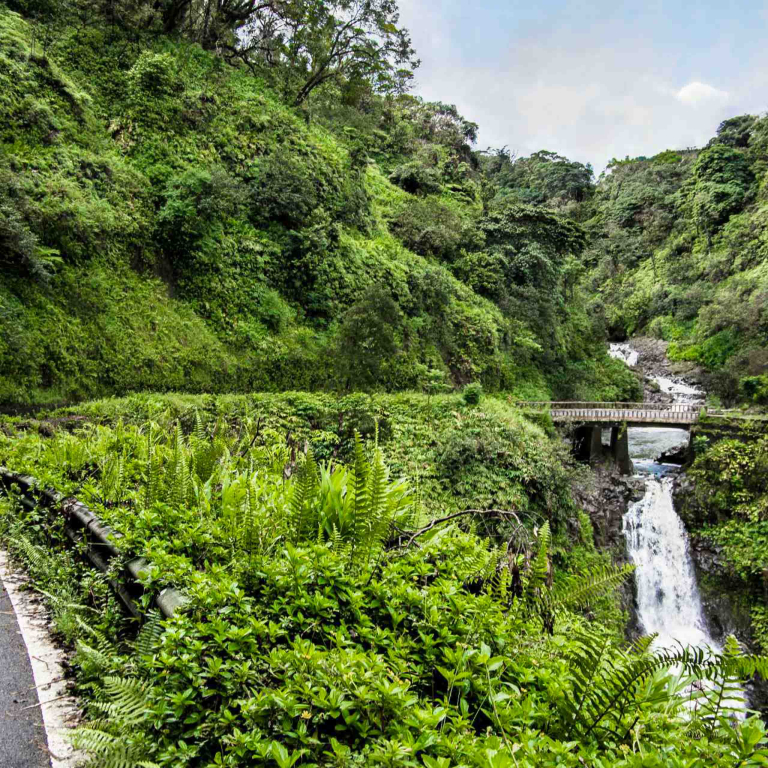 Halfway To Hana Road Roadway Waterfall