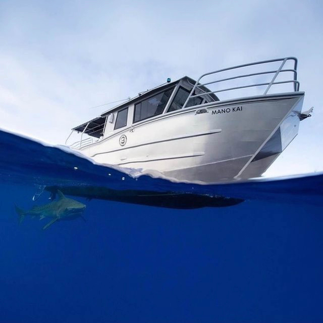 Oneoceandiving Cageless Shark Diving Tour Boat