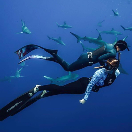 Oneoceandiving Cageless Shark Diving Tour