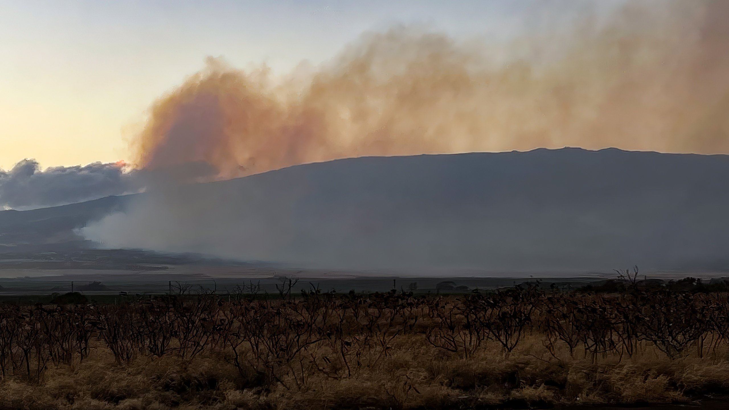 T Maui Fires Aug Th  