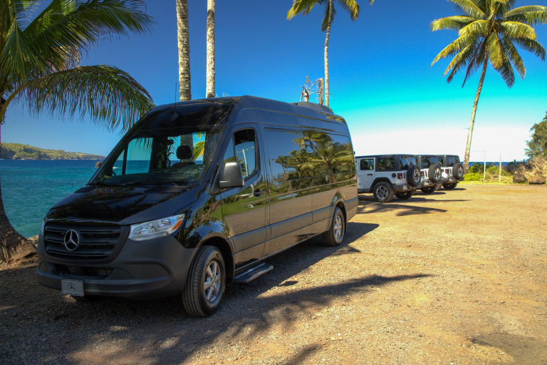 Guides And Transportation Big Black Vans 