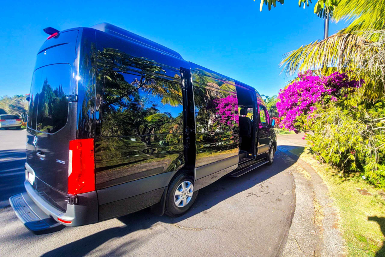 Guides And Transportation New Vans 