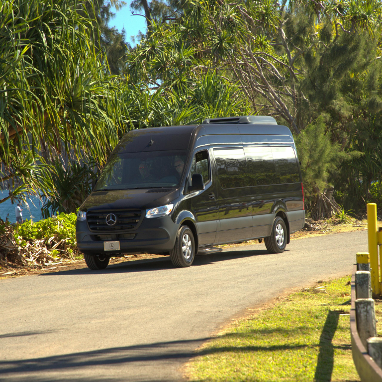 Guides And Transportation On The Way