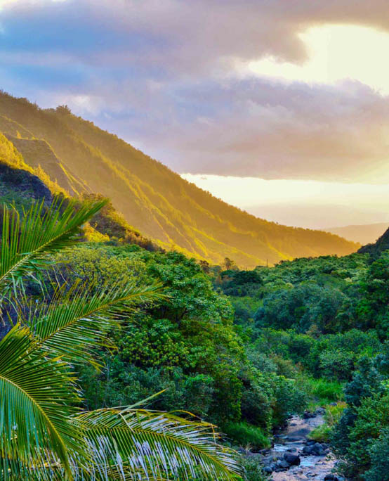 Haleakala Iao Valley Upcountry Maui Tour Overview