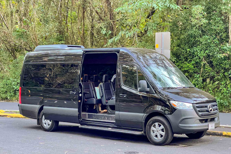 Hawaii Tours Team And Vehicles Mecedes