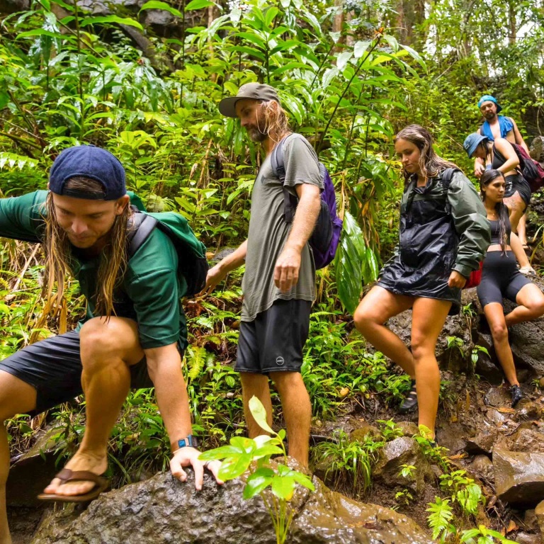 Hikemaui Private Road To Hana Hiking Into The Forest