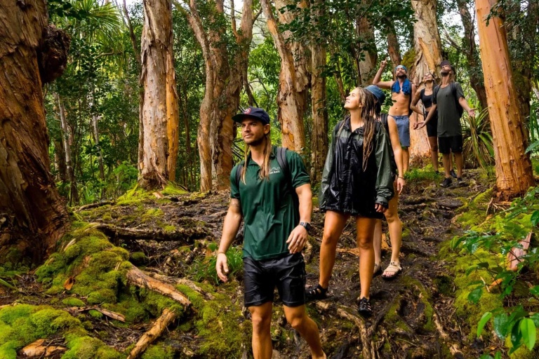 Hikemaui Private Road To Hana Hiking Visitors