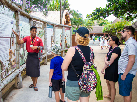 Island Itineraries Travel Consultations Culture Education