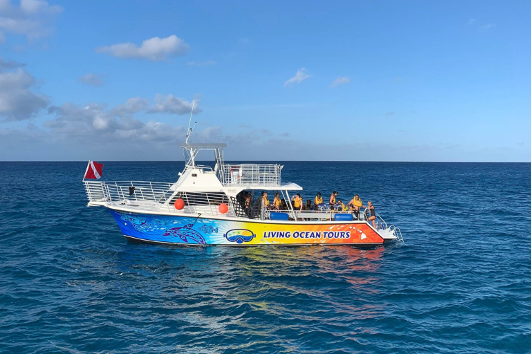 Livingoceantours Turtle Canyons Snorkel Excursion Boat